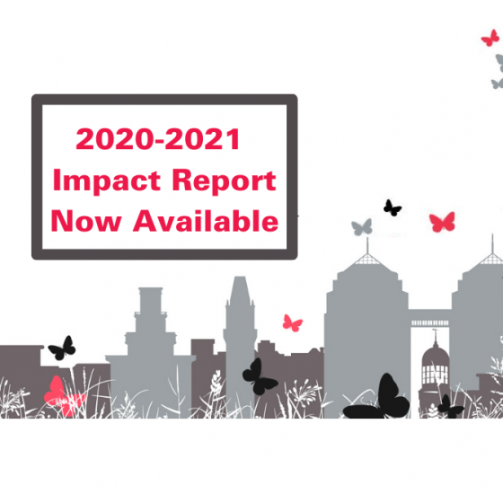20-21 Impact Report v8